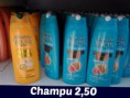 CHAMPU GARNIER FRUCTIS